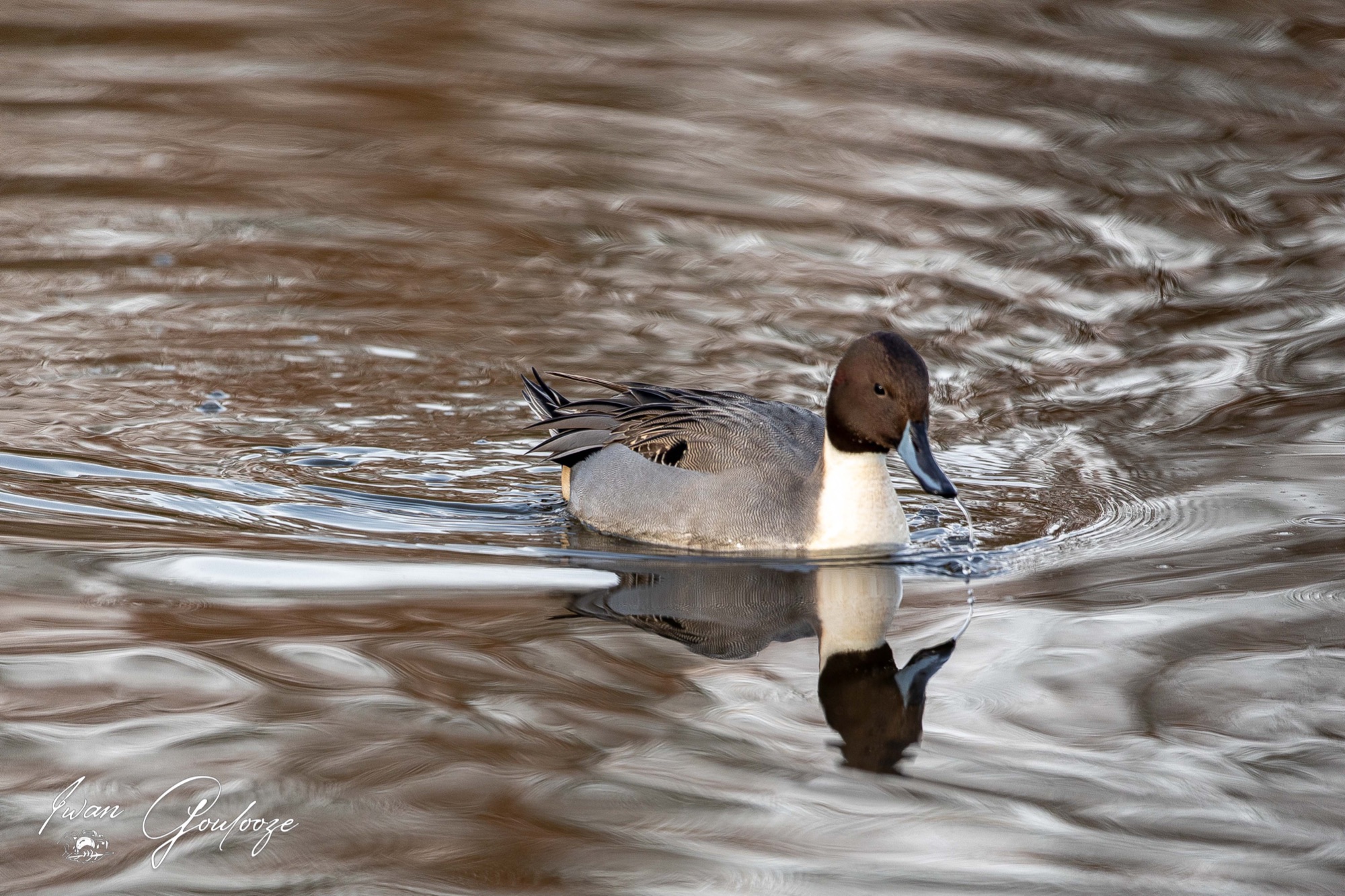  5D40553 28 november 2021 1315 10